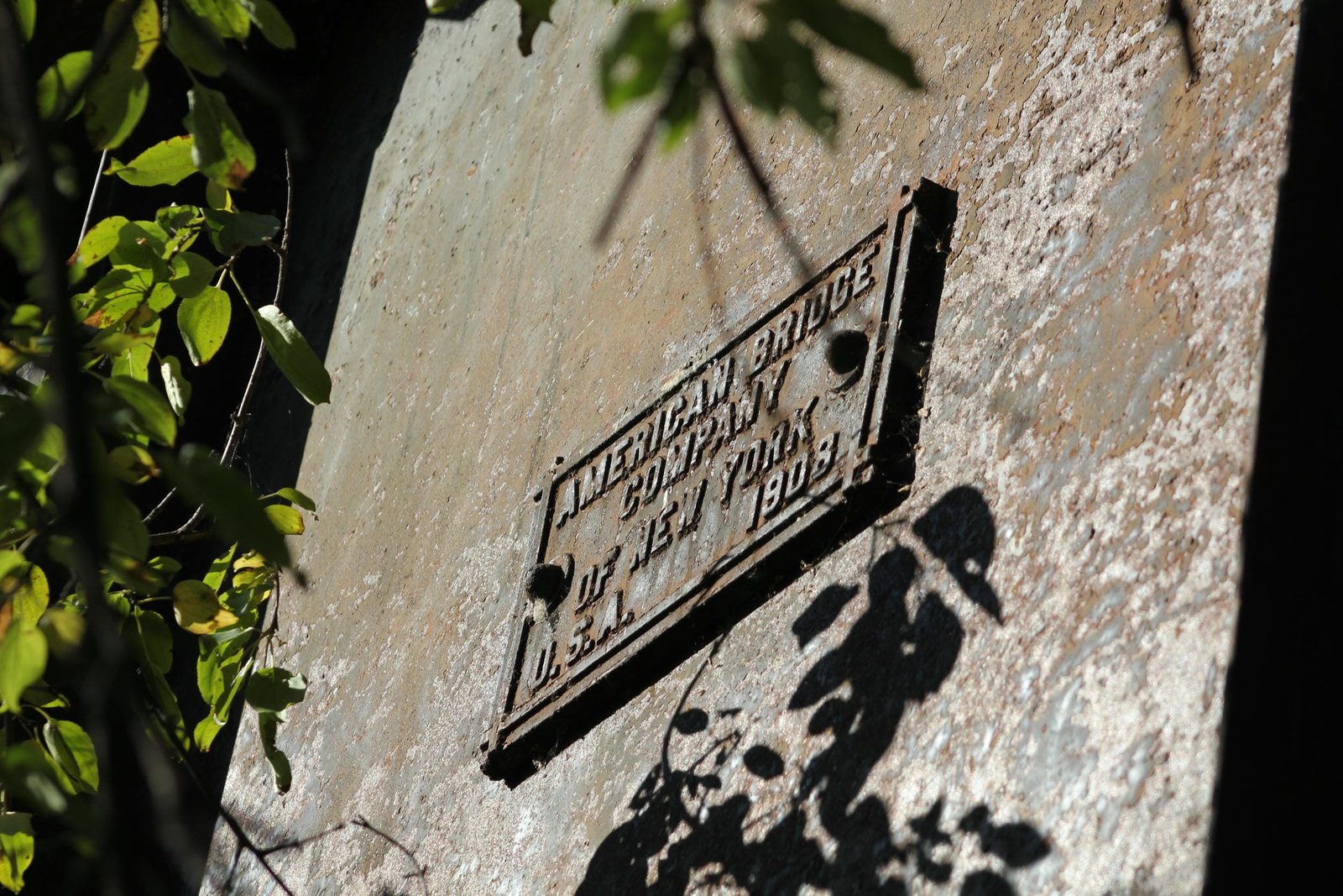 Plaque